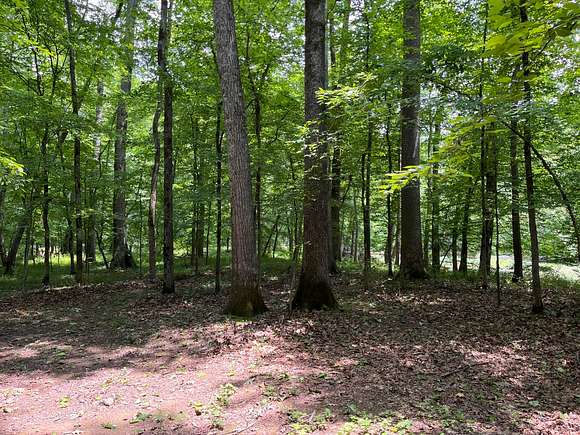 45 Acres of Recreational Land for Sale in Hazel Green, Alabama