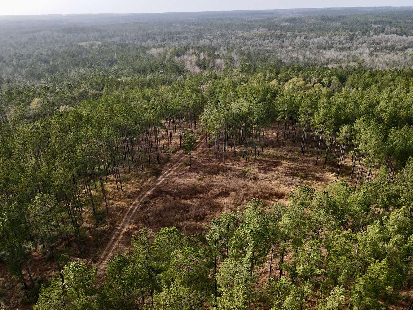 40 Acres of Land for Sale in Bay Minette, Alabama