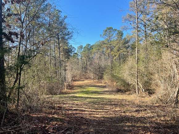 51 Acres of Land for Sale in Sulligent, Alabama