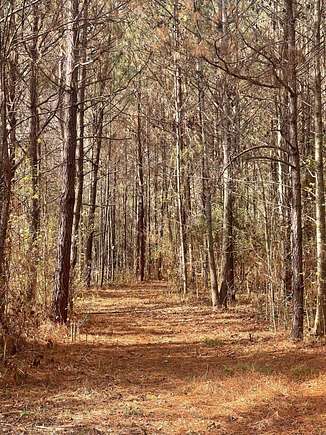30 Acres of Recreational Land for Sale in Randolph, Alabama