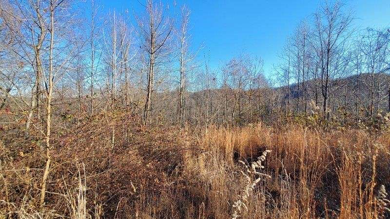 14.7 Acres of Land for Sale in Oneida, Tennessee