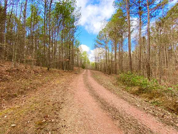 30 Acres of Land for Sale in Cordova, Alabama