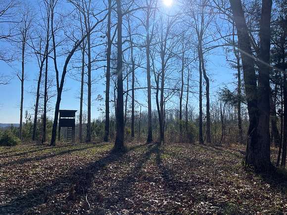 125 Acres of Land for Sale in Benevola, Alabama