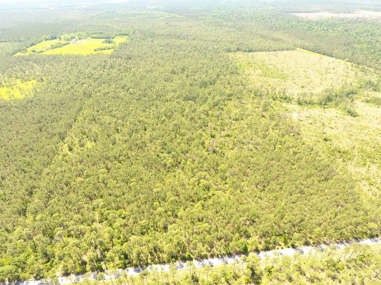 288 Acres of Land for Sale in Reeves, Louisiana