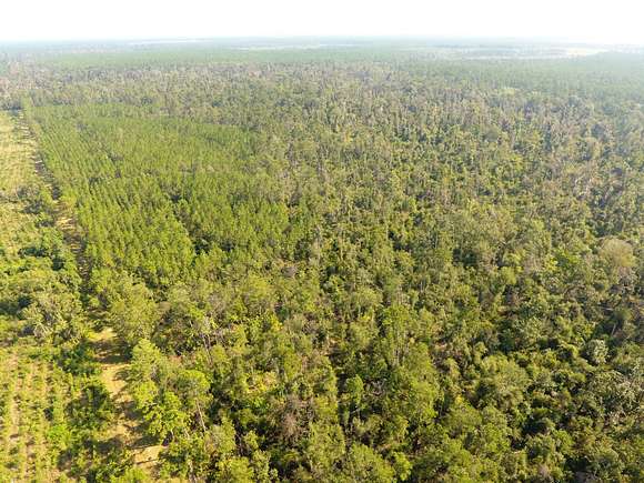 126 Acres of Recreational Land for Sale in Ragley, Louisiana