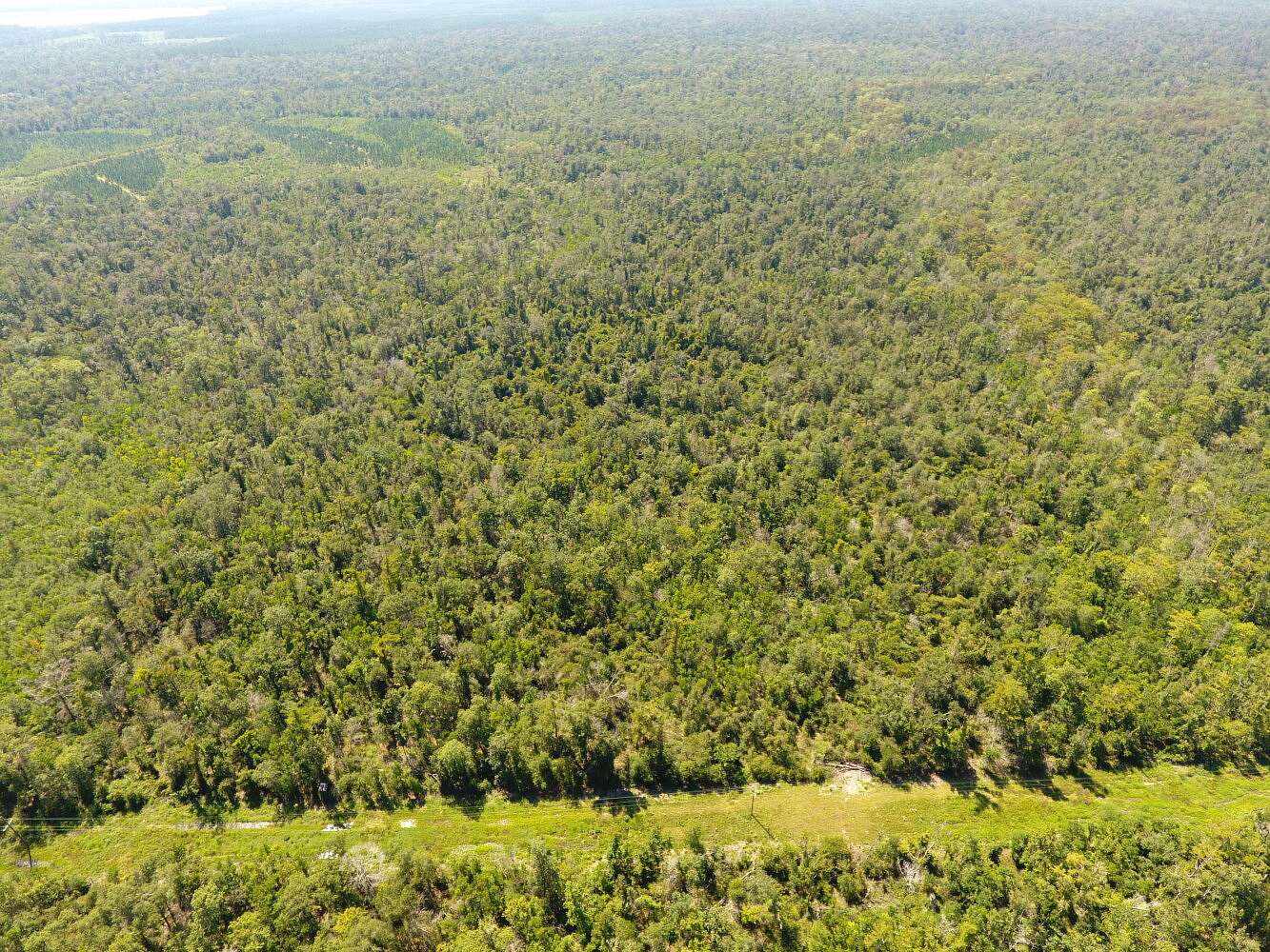 160 Acres of Recreational Land for Sale in Reeves, Louisiana
