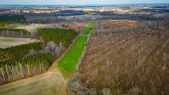 239 Acres of Recreational Land for Sale in New Albany, Mississippi