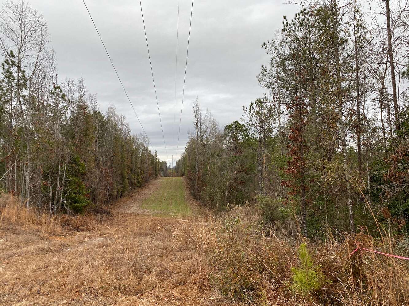 204 Acres of Recreational Land for Sale in Butler, Alabama