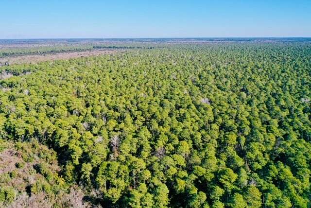 2,727 Acres of Land for Sale in Grantsboro, North Carolina