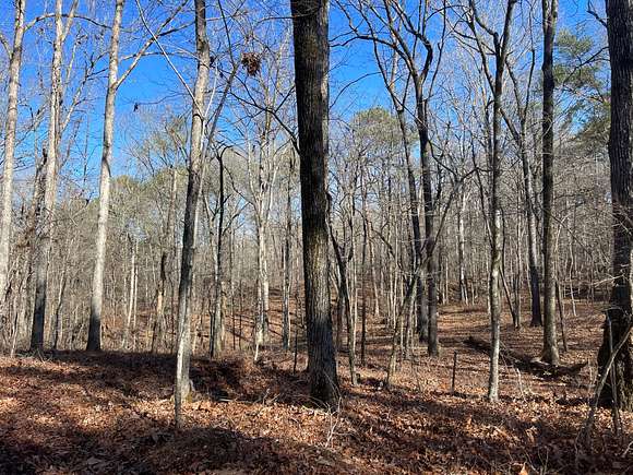 559 Acres of Land for Sale in Brookwood, Alabama