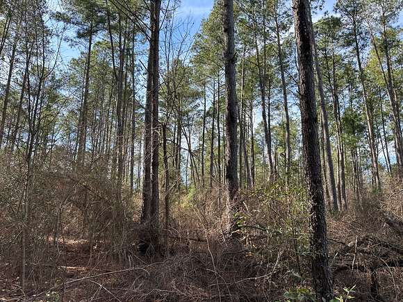 25 Acres of Recreational Land for Sale in St. Pauls, North Carolina
