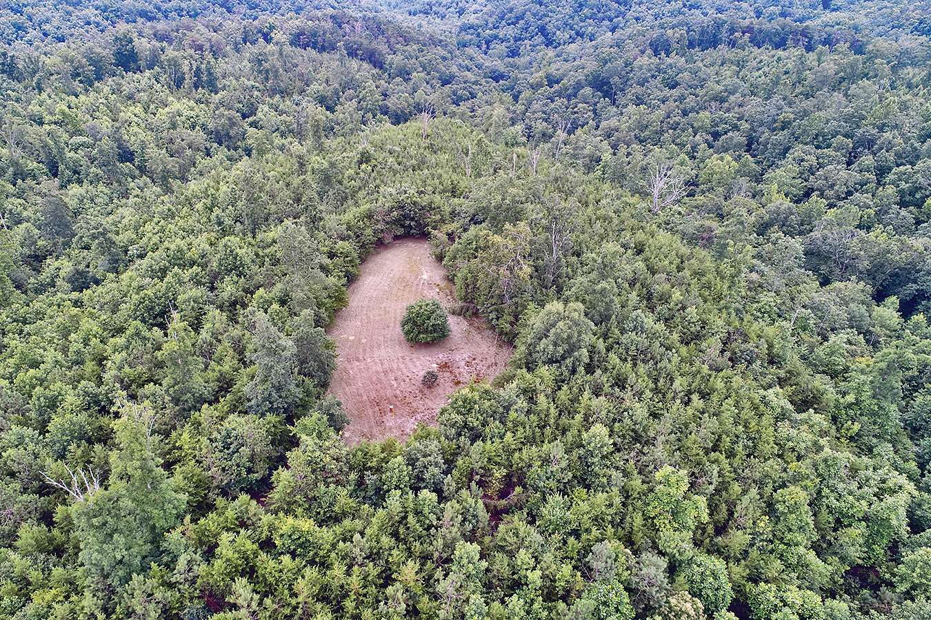 190 Acres of Recreational Land for Sale in Mount Hope, Alabama