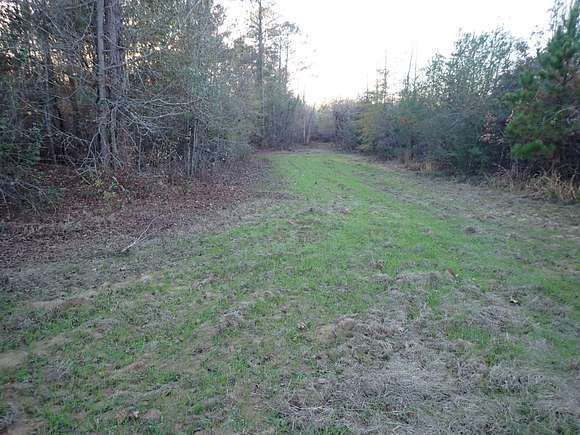 102 Acres of Recreational Land for Sale in Marion, Alabama