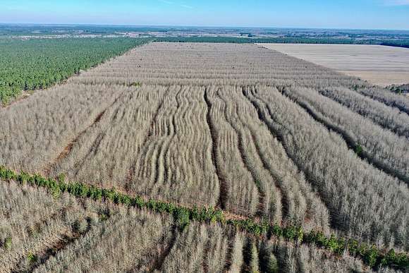386 Acres of Land for Sale in Dover, North Carolina