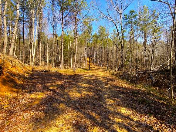 37 Acres of Land for Sale in Elrod, Alabama