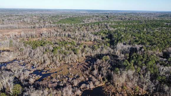 63.5 Acres of Recreational Land for Sale in Tuskegee, Alabama