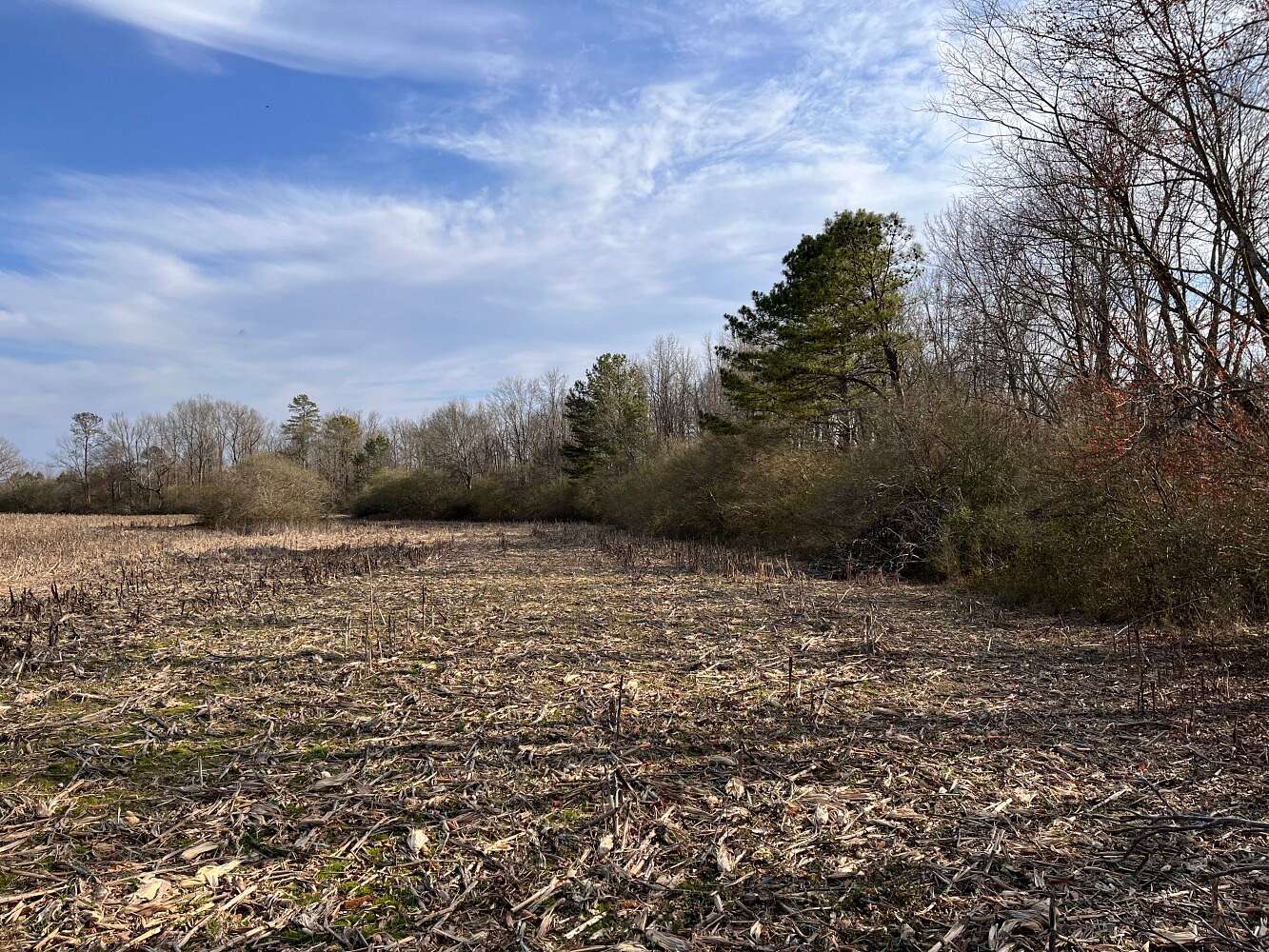 55 Acres of Land for Sale in Section, Alabama