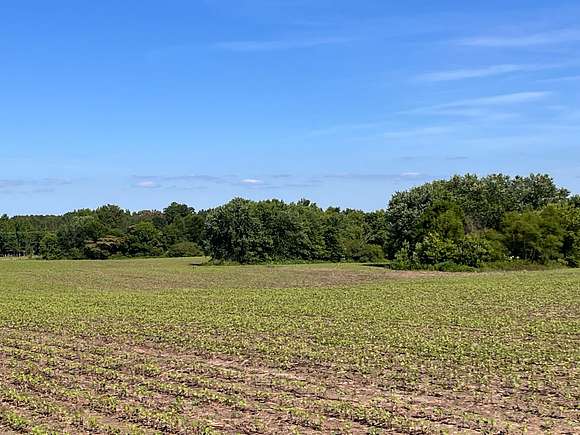 55 Acres of Land for Sale in Section, Alabama