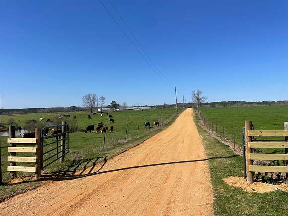126 Acres of Agricultural Land for Sale in Prentiss, Mississippi