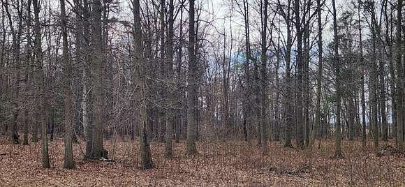 2 Acres of Residential Land for Sale in Holland, Michigan