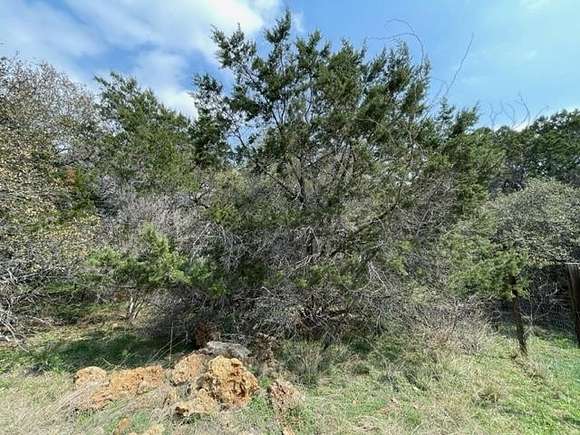 0.23 Acres of Land for Sale in Spicewood, Texas