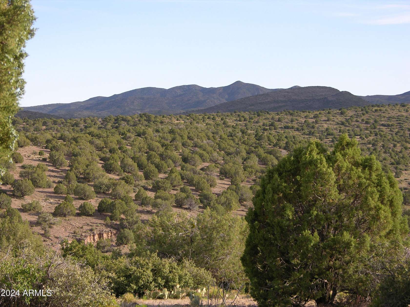 5,500 Acres of Land for Sale in Wikieup, Arizona