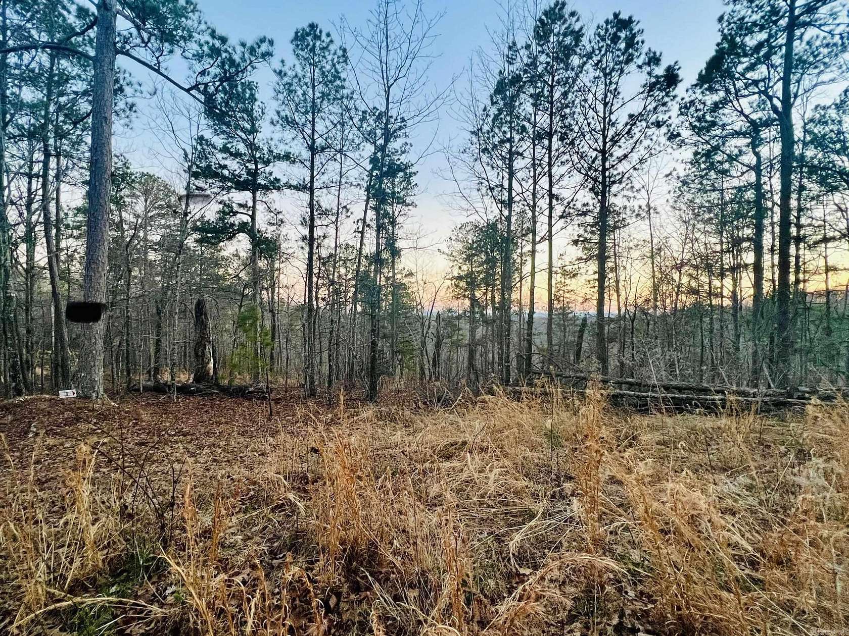 5 Acres of Land for Sale in Yellville, Arkansas