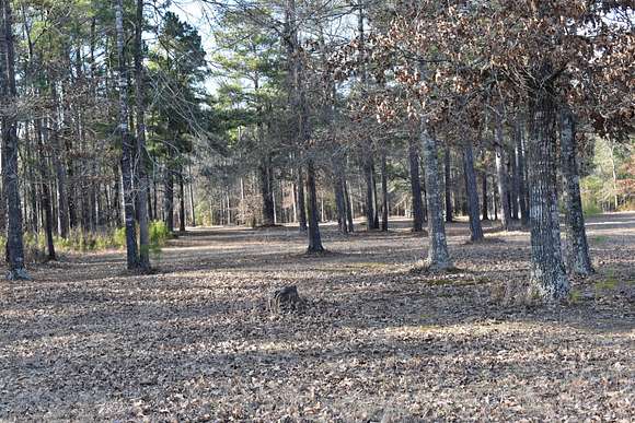 50 Acres of Improved Land for Sale in Hampton, Arkansas