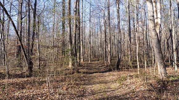 Land For Sale In Fruithurst Alabama