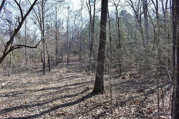 2 Acres of Land for Sale in Calico Rock, Arkansas