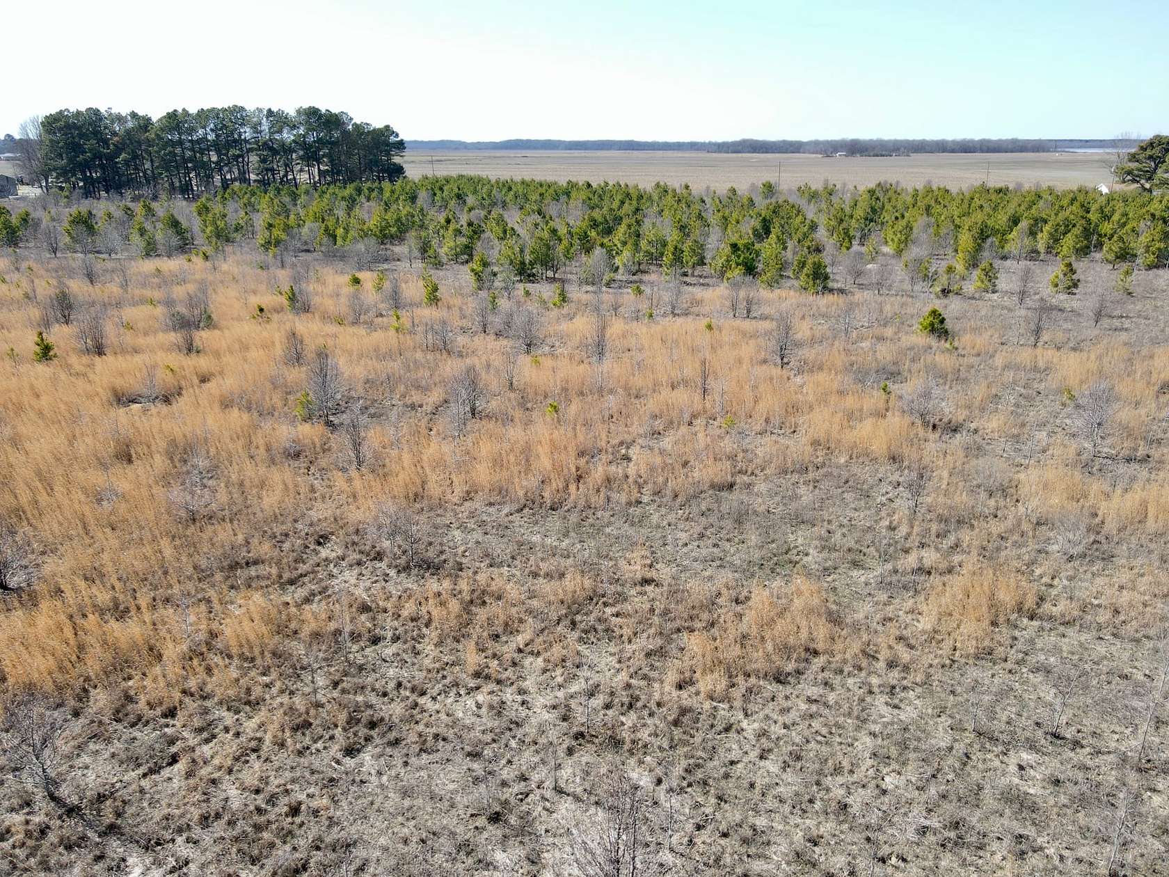 36 Acres of Recreational Land for Sale in McCrory, Arkansas LandSearch