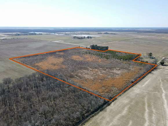 36 Acres of Recreational Land for Sale in McCrory, Arkansas