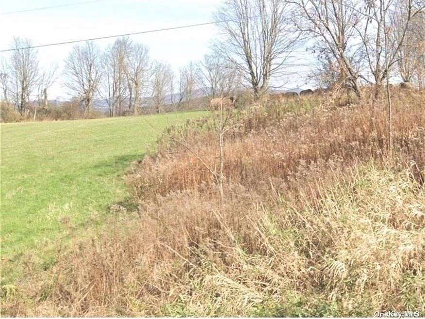 30 Acres of Land for Sale in Ripley Town, New York