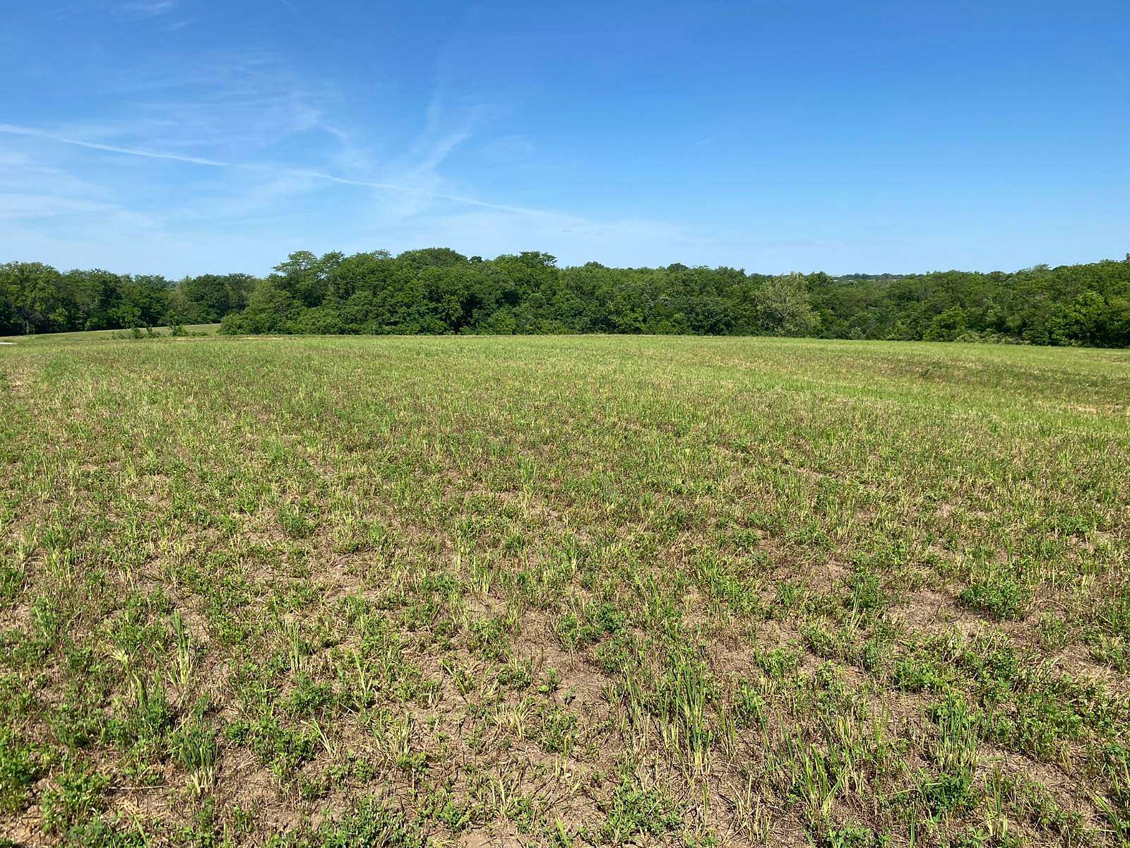 13 Acres of Land for Sale in Union Star, Missouri