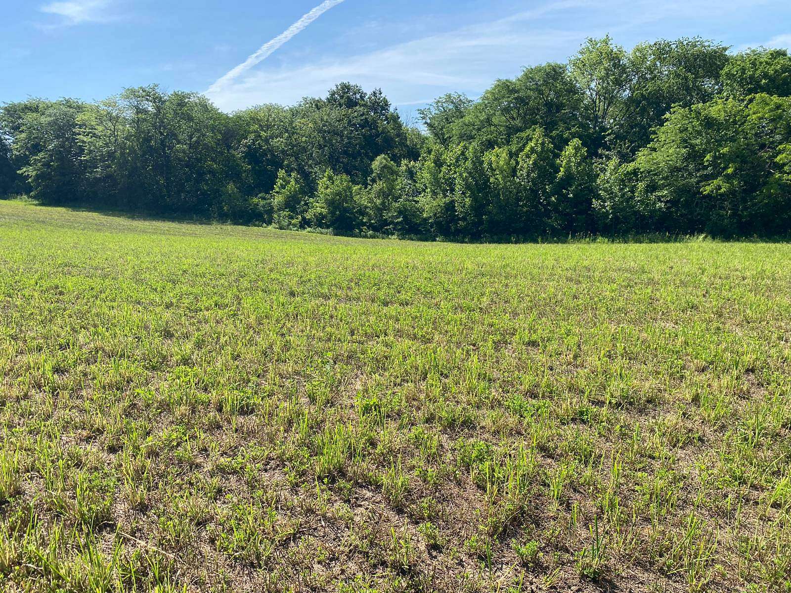 16 Acres of Land for Sale in Union Star, Missouri