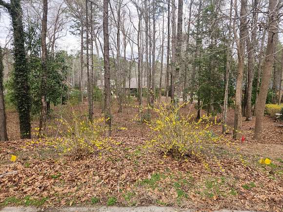 0.42 Acres of Residential Land for Sale in Aiken, South Carolina