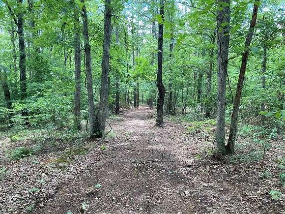 80 Acres of Land with Home for Sale in Marquand, Missouri