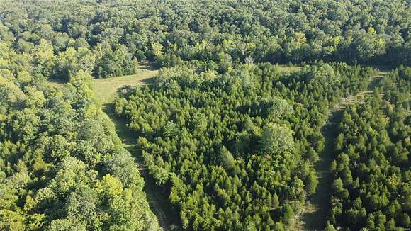 10 Acres of Recreational Land & Farm for Sale in Potosi, Missouri