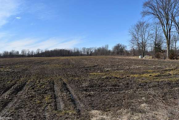 10 Acres of Land for Sale in Goodells, Michigan