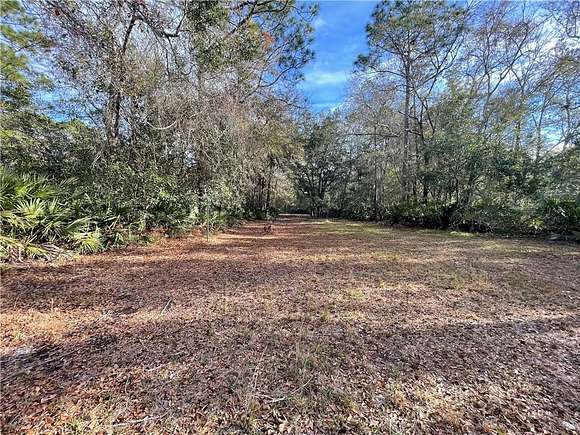 5 Acres of Residential Land for Sale in Waverly, Georgia