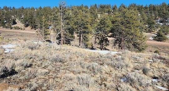 5.2 Acres of Residential Land for Sale in Westcliffe, Colorado
