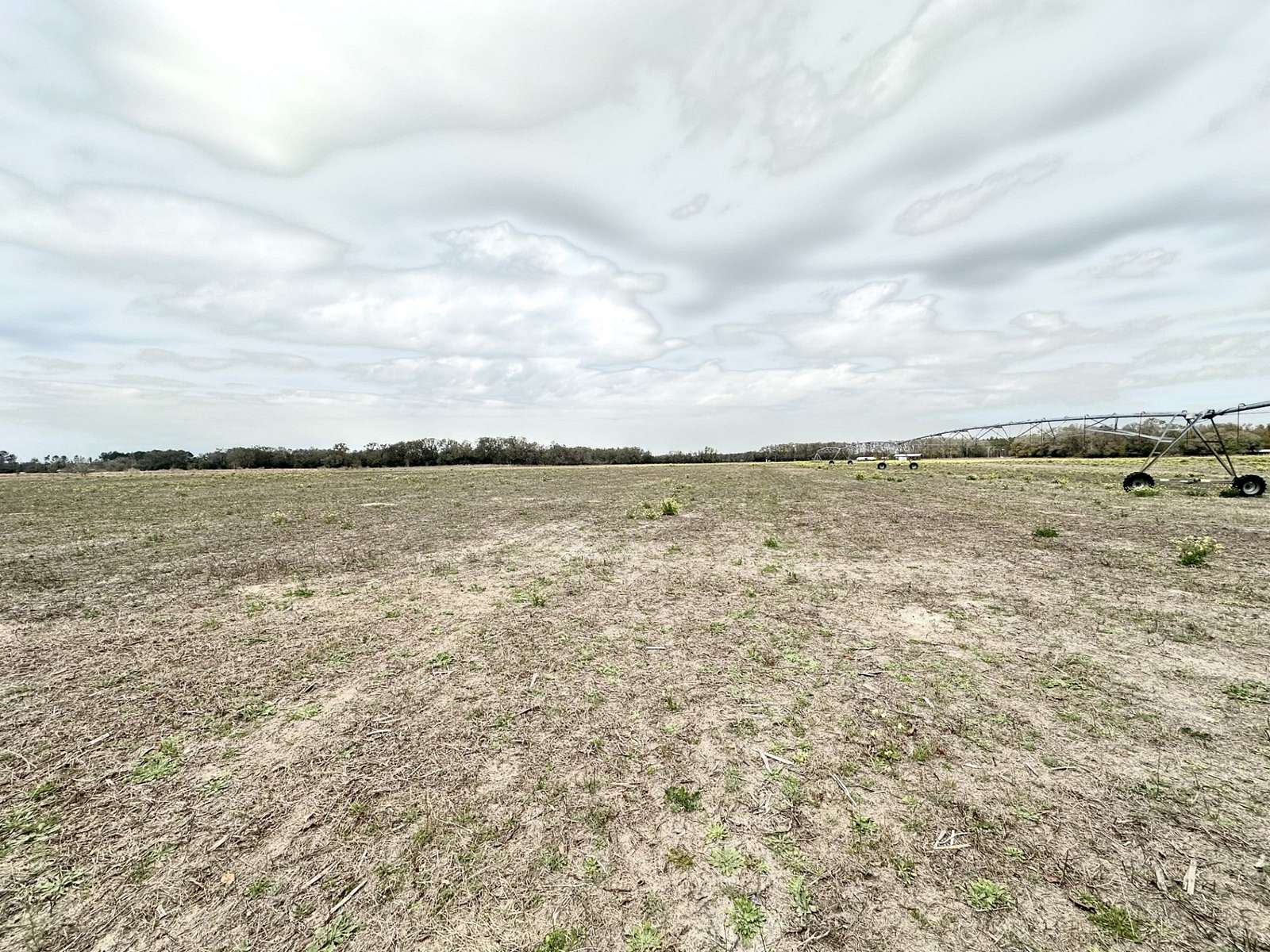 40 Acres of Recreational Land & Farm for Sale in Mayo, Florida