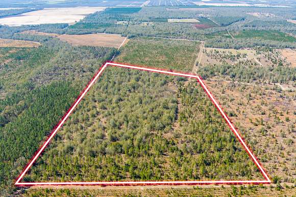 41 Acres of Land for Sale in Jasper, Florida