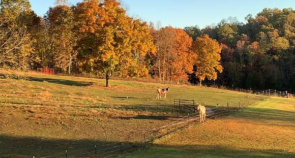 39.2 Acres of Recreational Land & Farm for Sale in Salem, Missouri