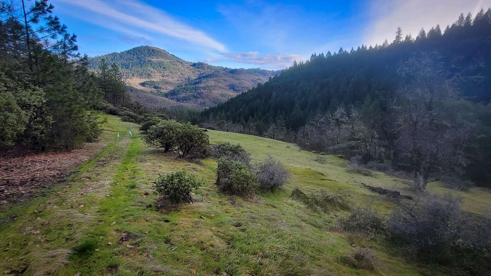 82.15 Acres of Land with Home for Sale in Trail, Oregon