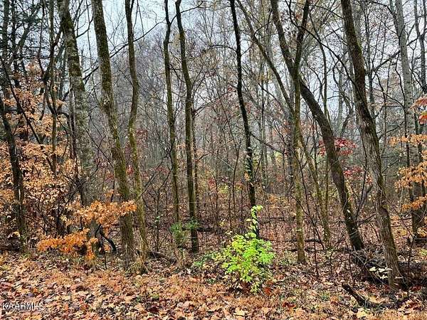 8.17 Acres of Land for Sale in Decatur, Tennessee