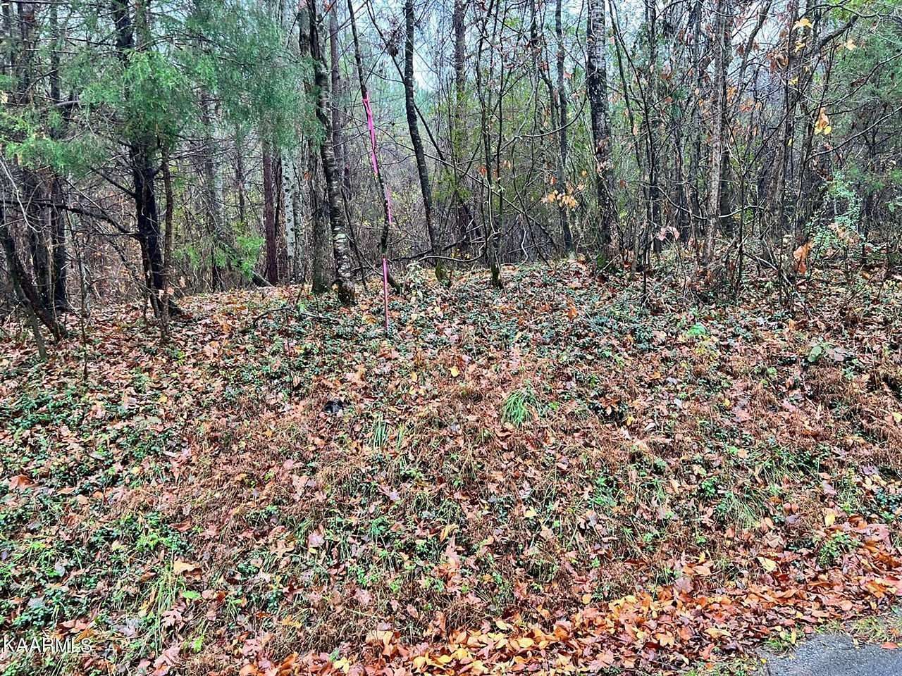 6 Acres of Land for Sale in Decatur, Tennessee
