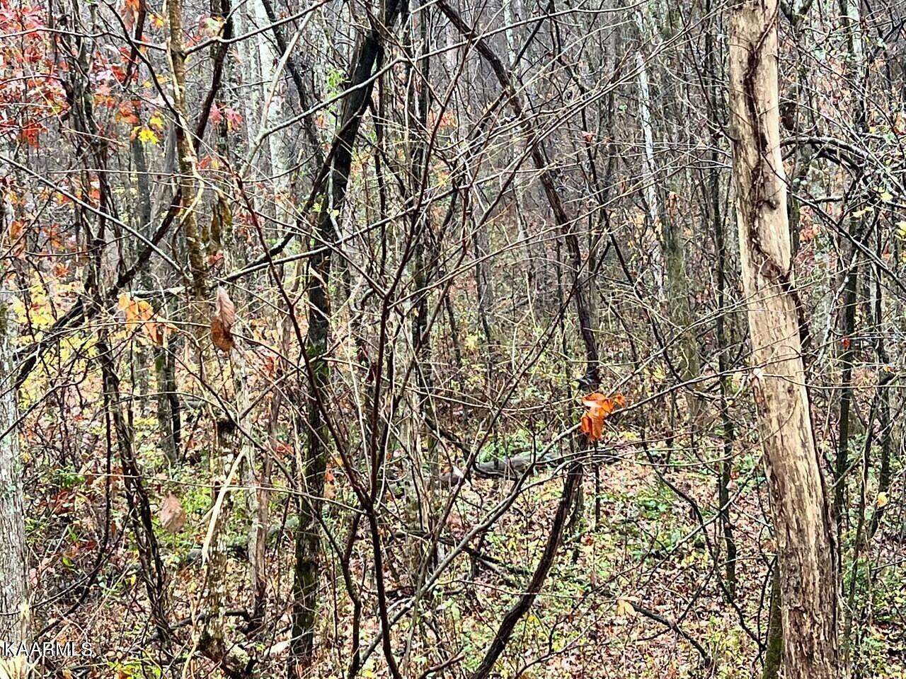 7.59 Acres of Land for Sale in Decatur, Tennessee