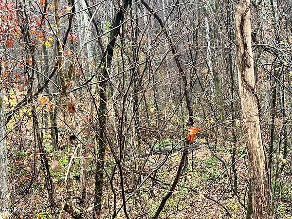 7.59 Acres of Land for Sale in Decatur, Tennessee