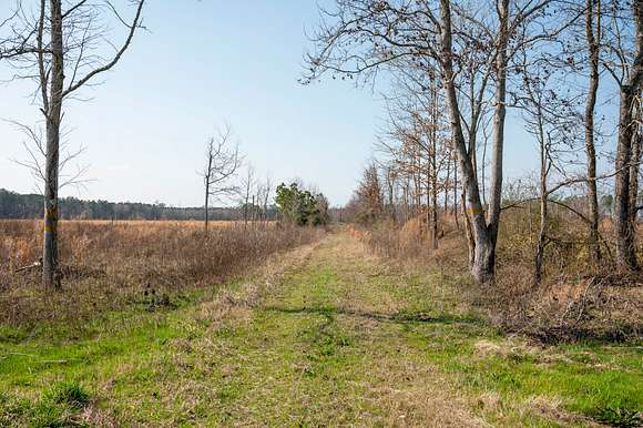 123 Acres of Recreational Land for Sale in Windsor, North Carolina